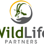 client_logo_43